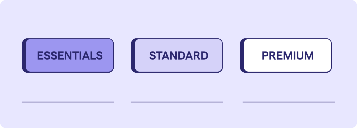 Tiered pricing Strategy on Ignition